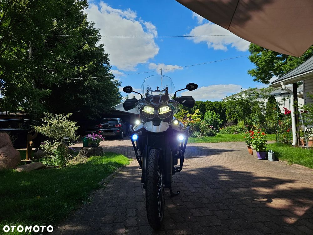 Triumph Tiger - 3