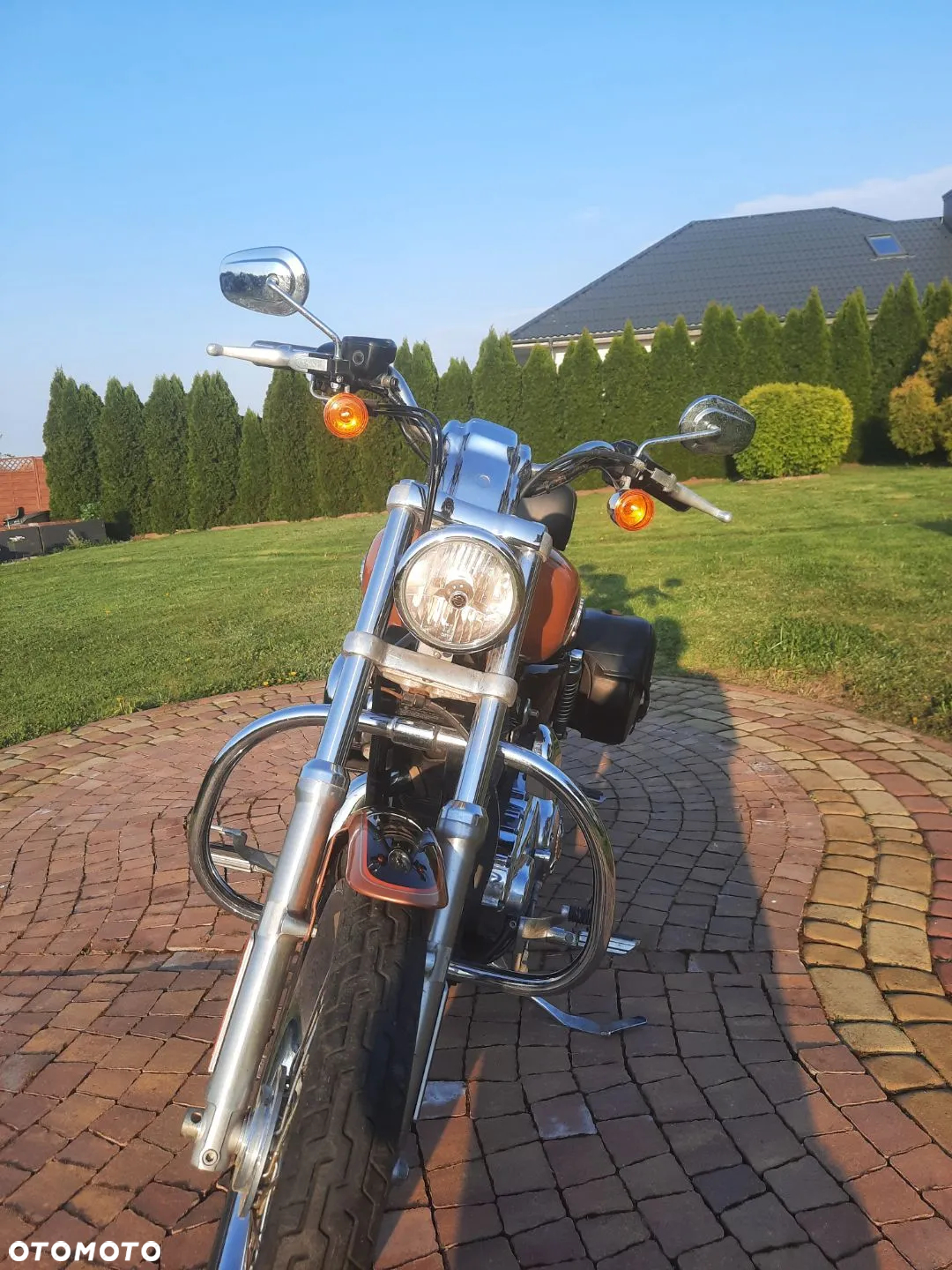Harley-Davidson Sportster Custom 1200C - 2