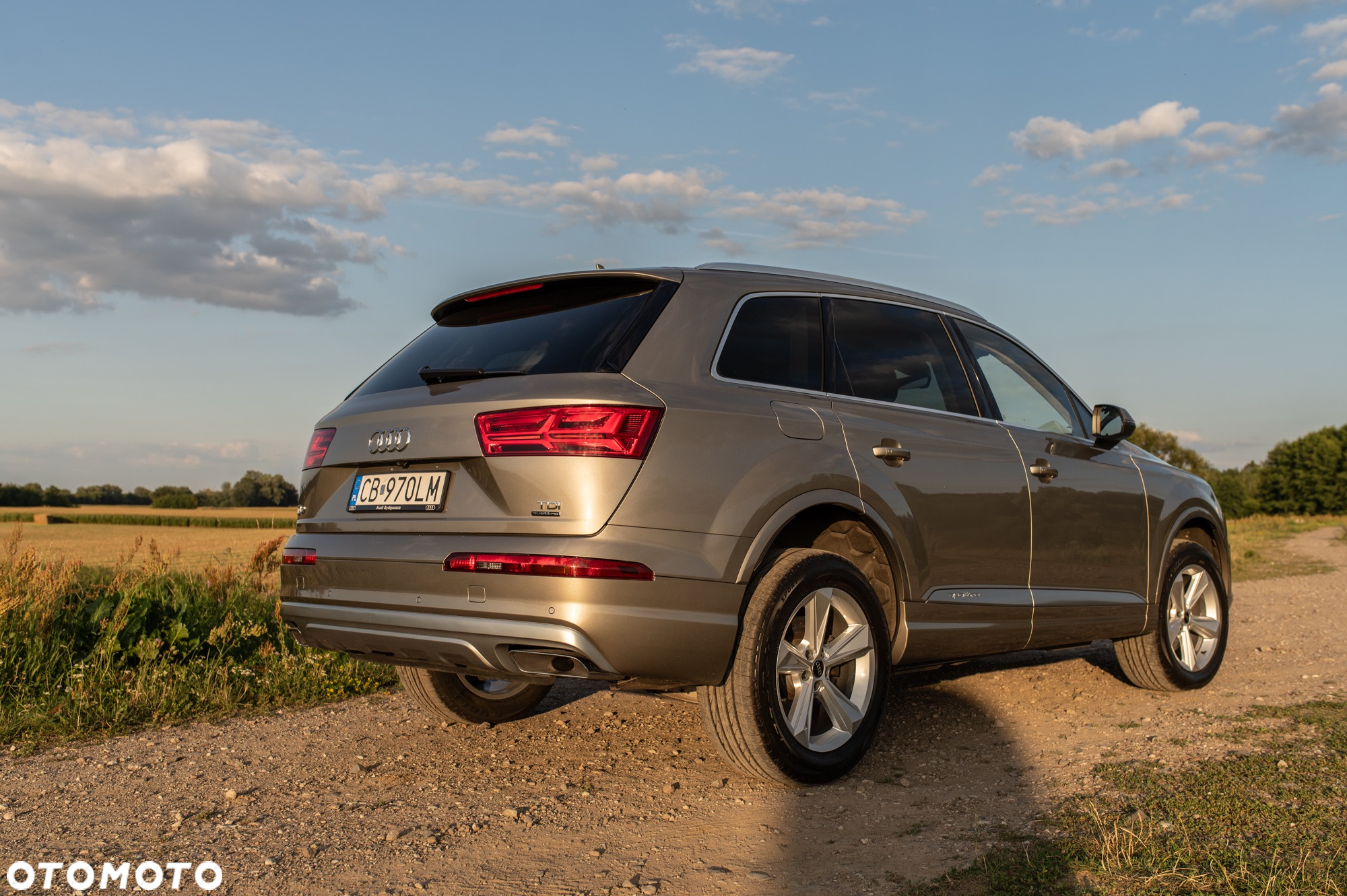 Audi Q7 3.0 TDI Quattro Tiptronic - 24