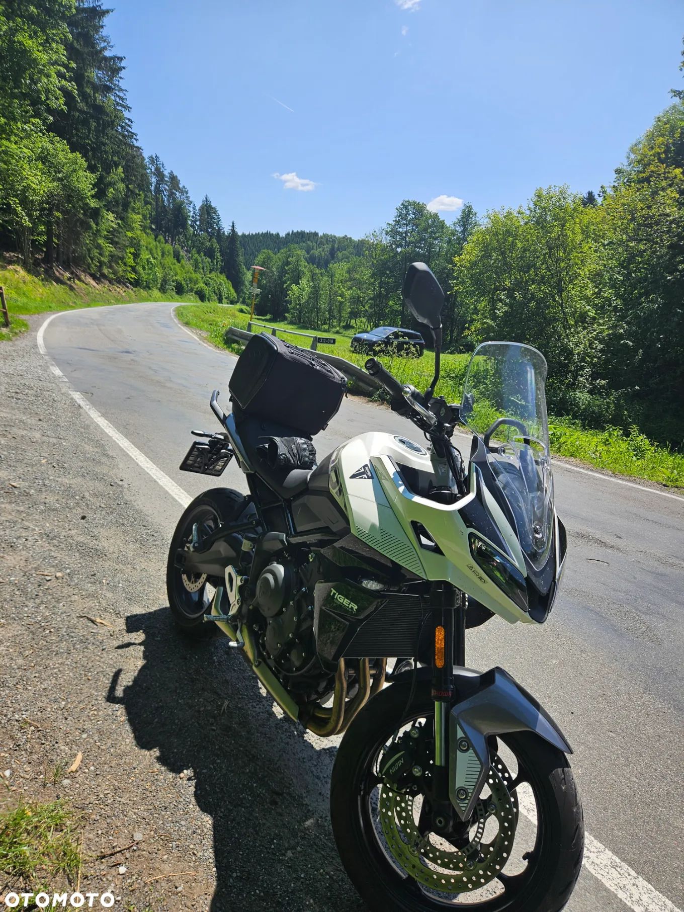 Triumph Tiger - 1