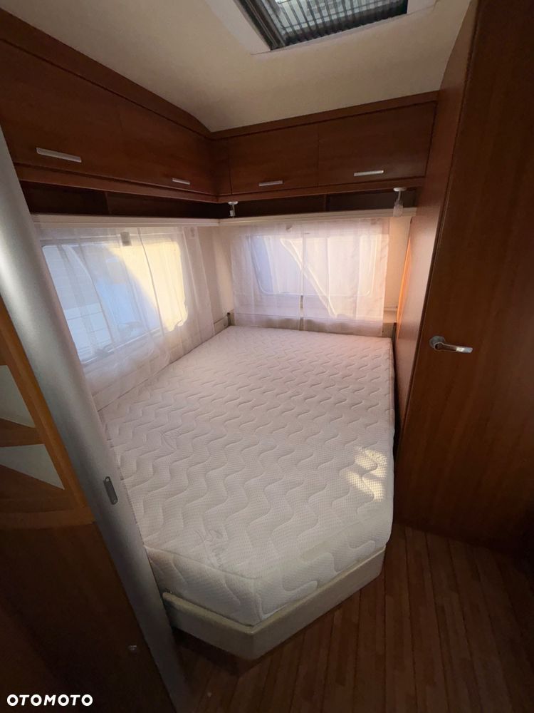 Tabbert Puccini - 12