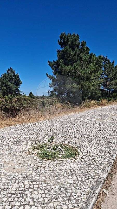 Terreno  para venda - Grande imagem: 2/5