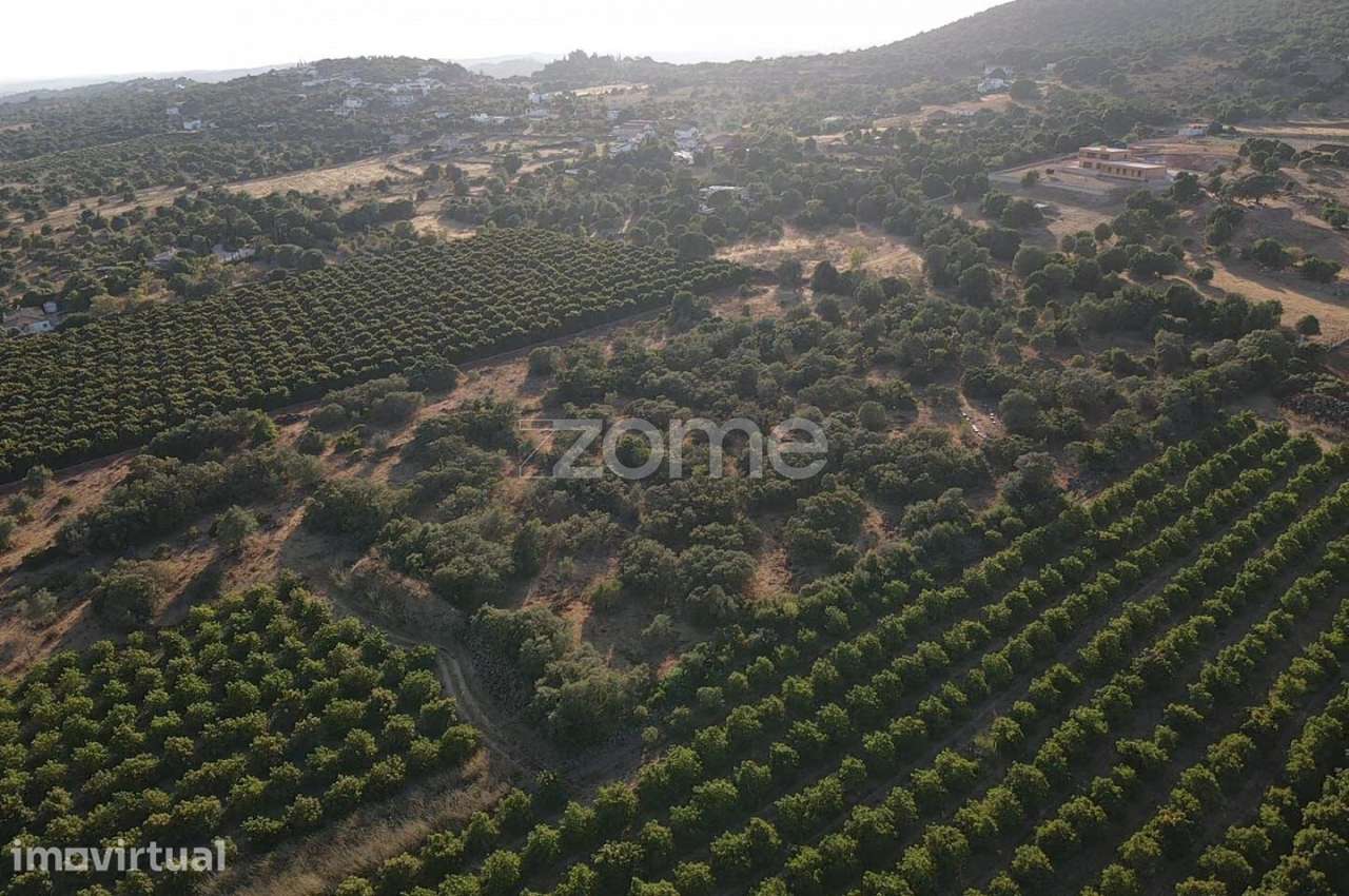 Terreno Rústico em Barrocal das Cortes c/ 16.000m2, Messines - Grande imagem: 4/17