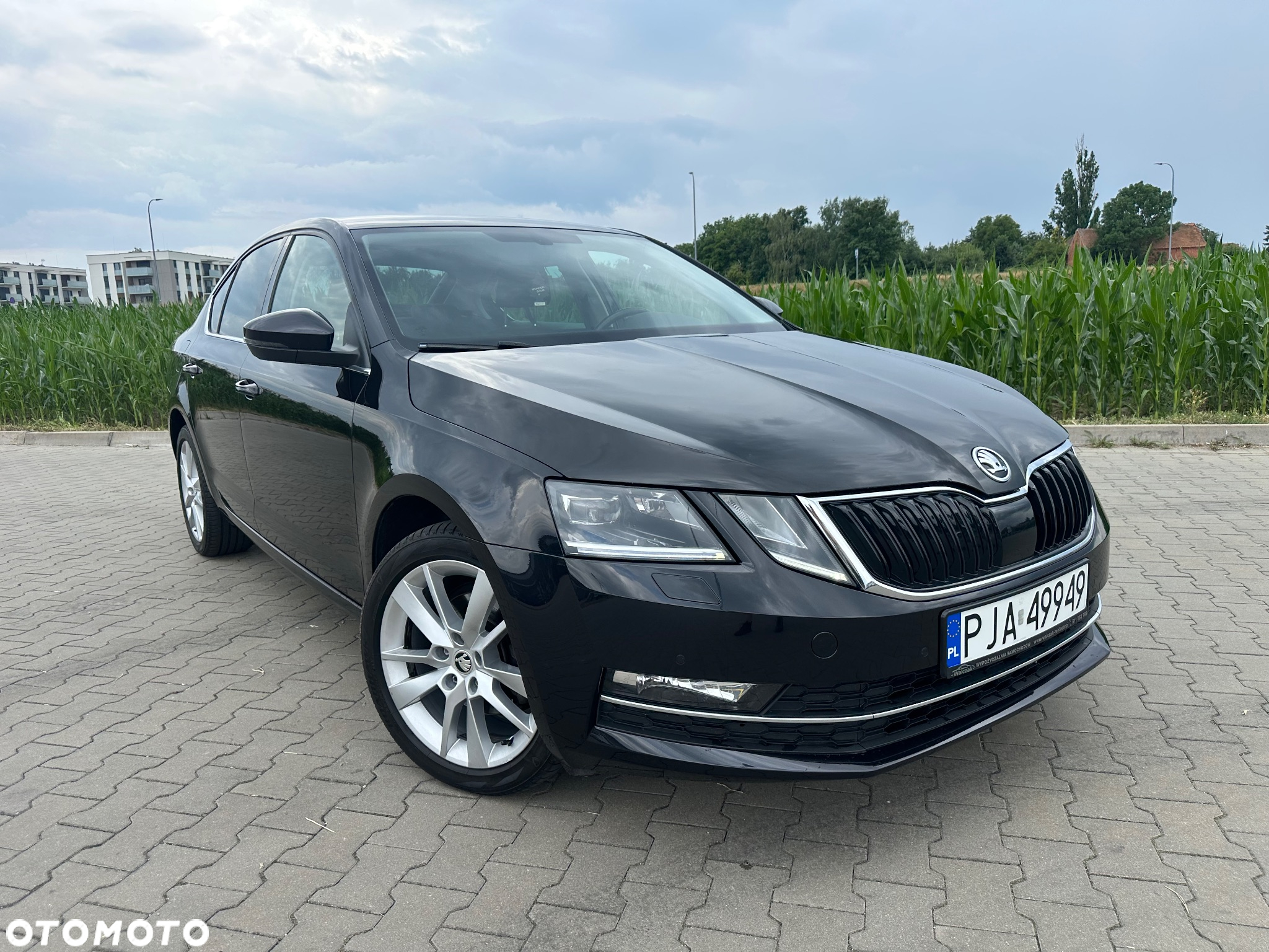 Skoda Octavia - 2