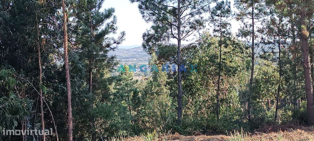 ANG1192 - Terreno com 416m2 para Venda em Leiria - Grande imagem: 3/9
