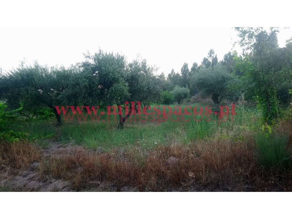 Terreno com represa - Grande imagem: 3/14