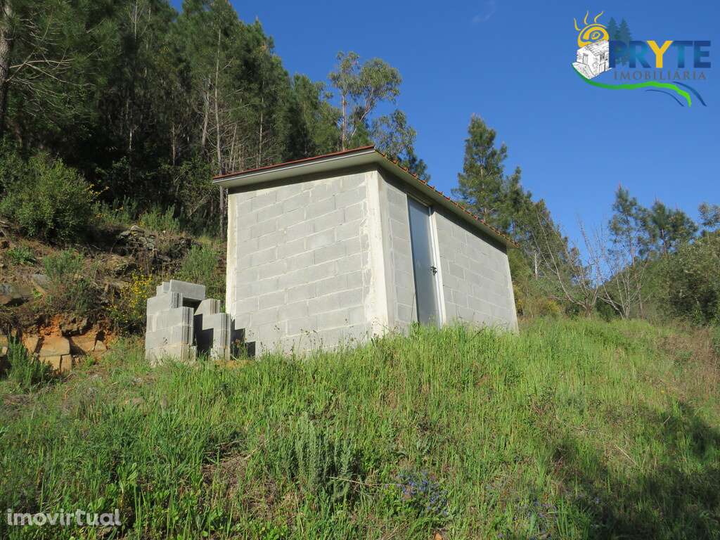 Terreno de cultivo a confinar com a Ribeira da Tamolha - Grande imagem: 3/14