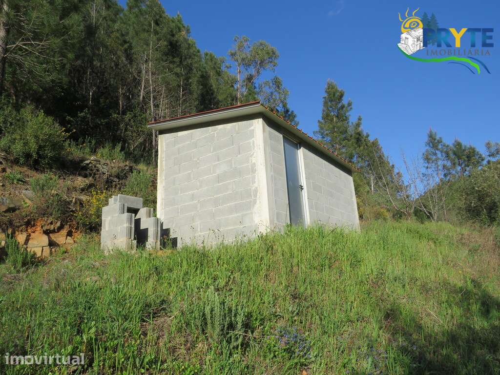 Terreno de cultivo a confinar com a Ribeira da Tamolha - Grande imagem: 3/14