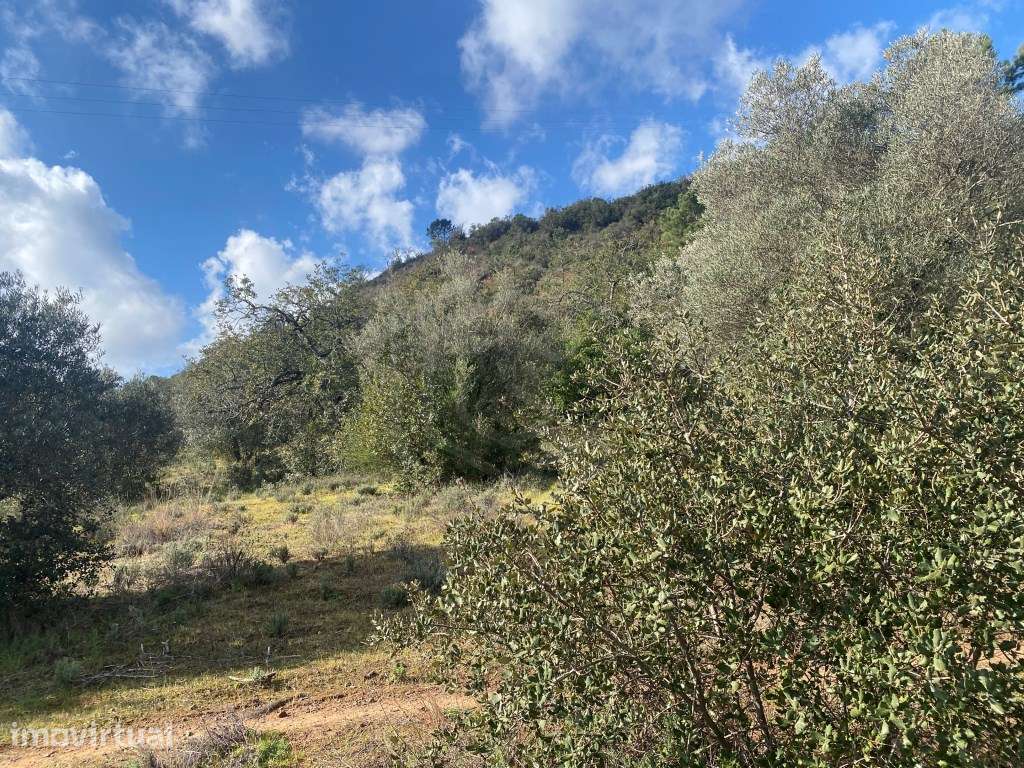 Lote de terreno rústico, com 3.130m2, Loulé, Algarve - Grande imagem: 5/22