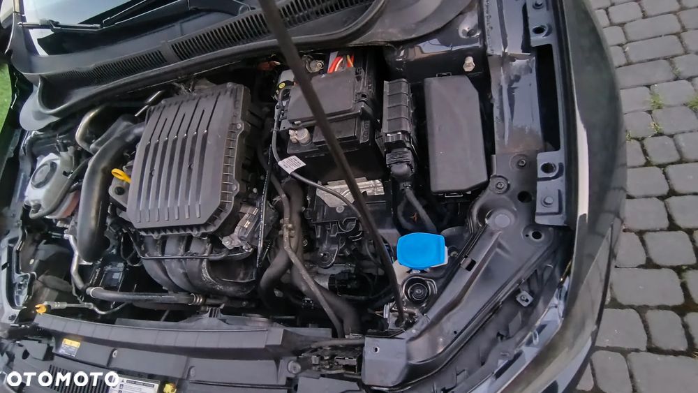 Volkswagen Polo - 20