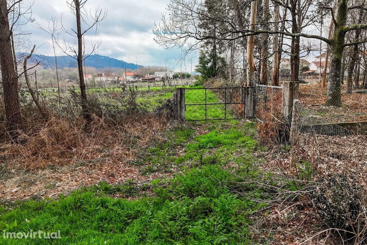 Terreno Rústico  Venda em Associação de freguesias do Vale do Neiva,Po - Grande imagem: 2/23