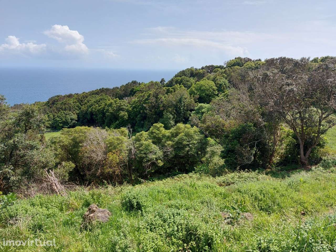 Fantástico Terreno com Projeto Aprovado - Pico - Azores - Grande imagem: 4/18