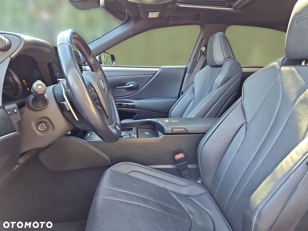 Lexus ES 300h F Sport Edition - 19