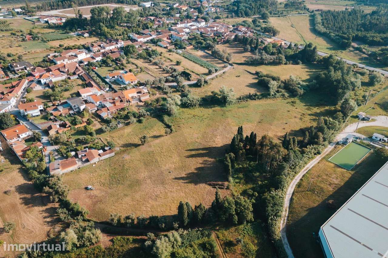 Quinta com 2,68 Hectares e Área Urbanizável de 3.200m2 - Grande imagem: 5/6