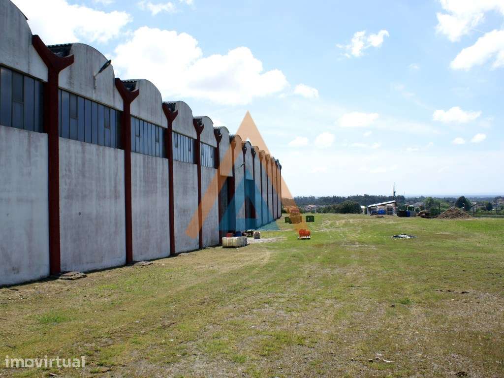 Grande Pavilhão e Terreno - Grande imagem: 2/40