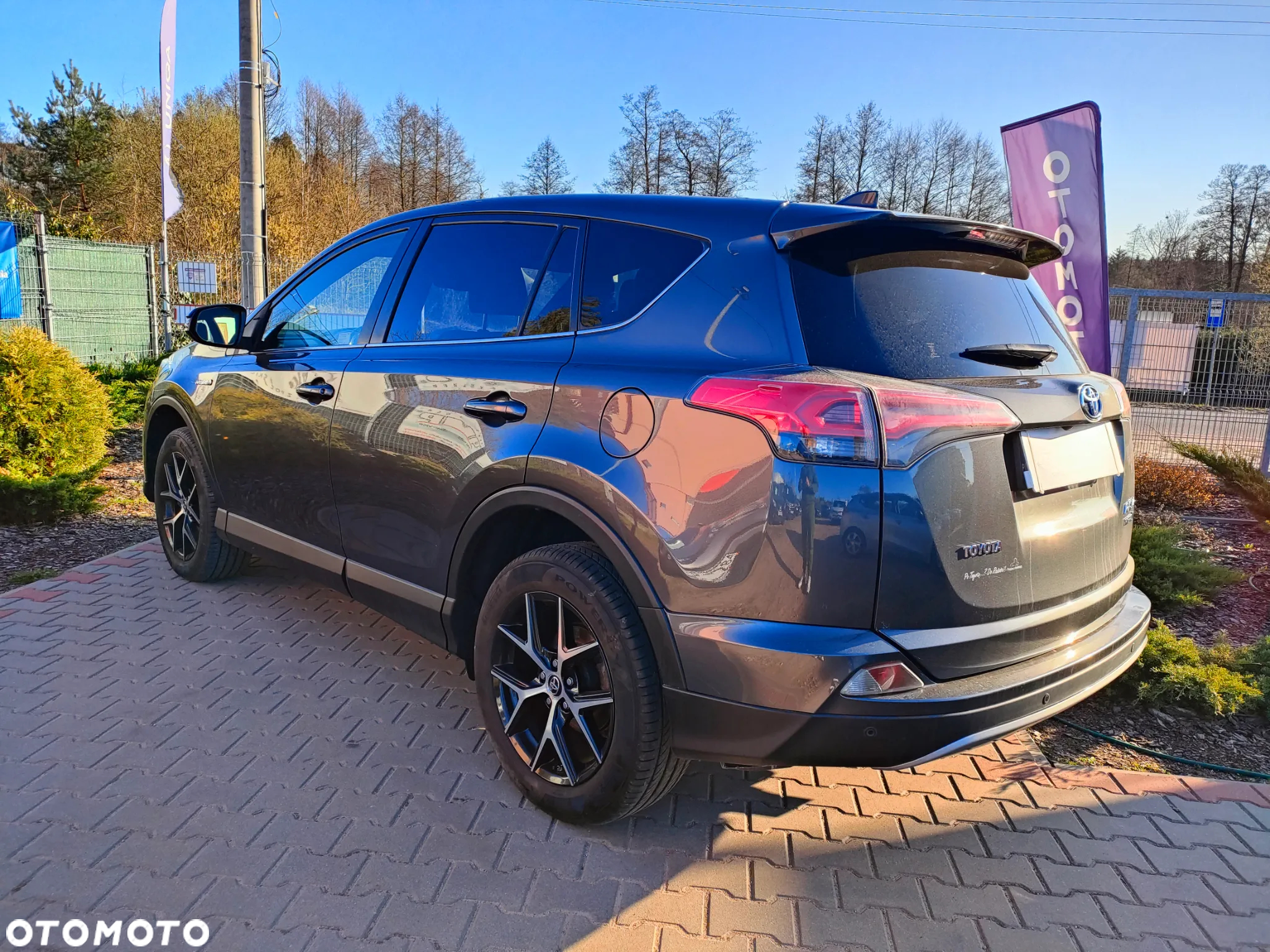 Toyota RAV4 Hybrid Premium 4x2 - 12