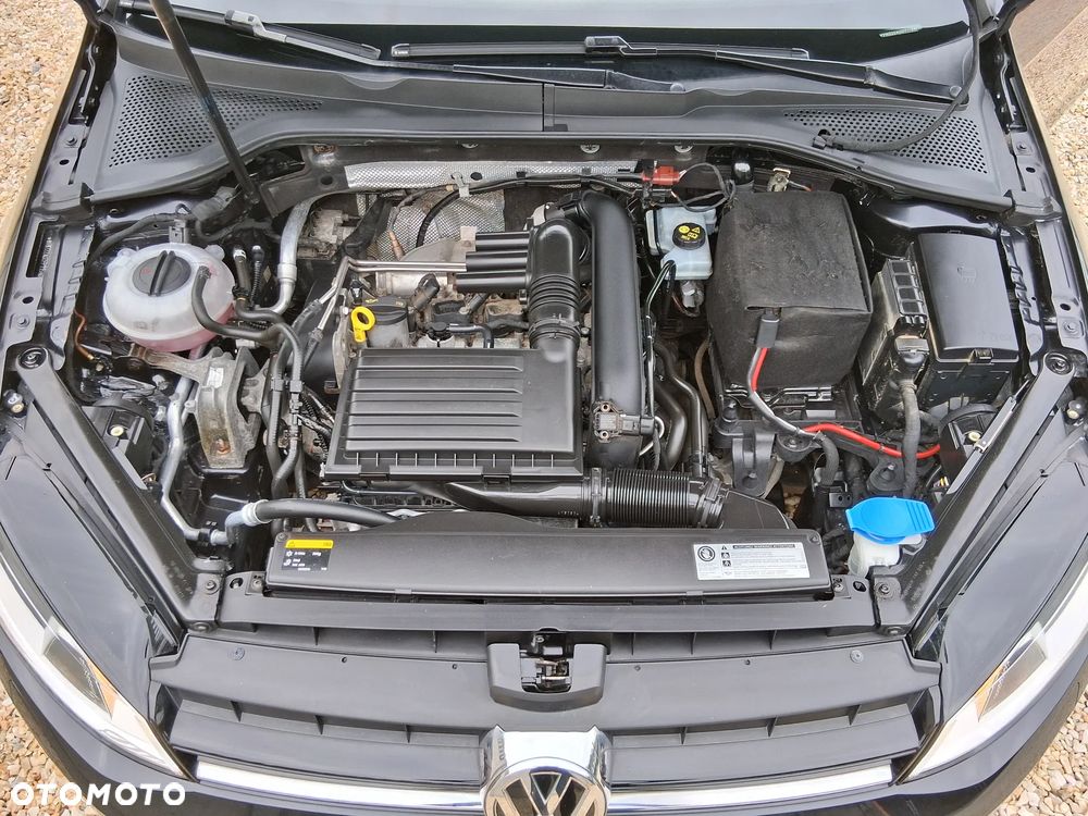 Volkswagen Golf - 33