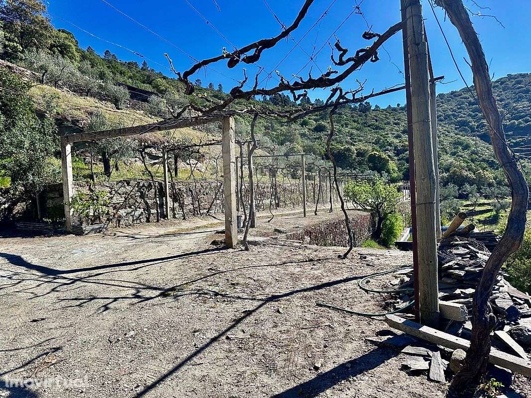 Quinta  para venda - Grande imagem: 5/23