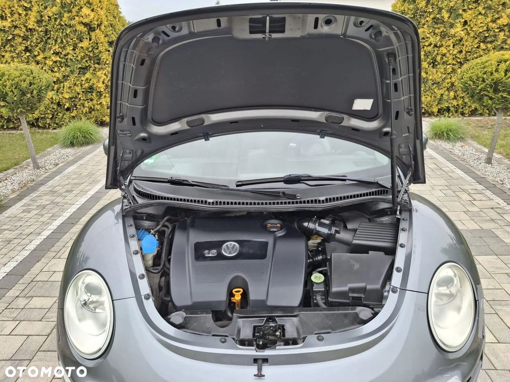 Volkswagen New Beetle - 28