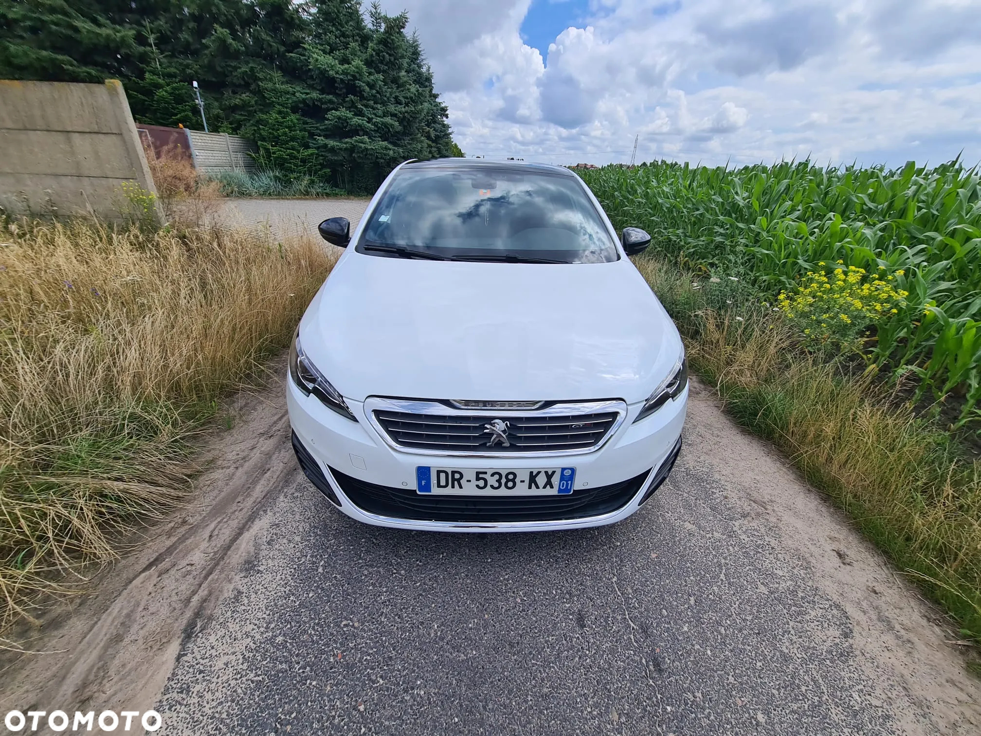 Peugeot 308 BlueHDi 180 EAT6 GT - 11