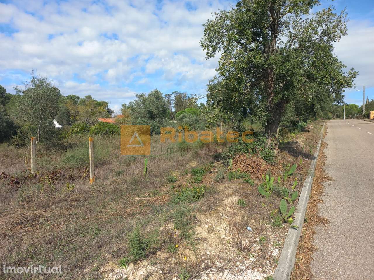 Terreno para construção em Coruche - Grande imagem: 4/11