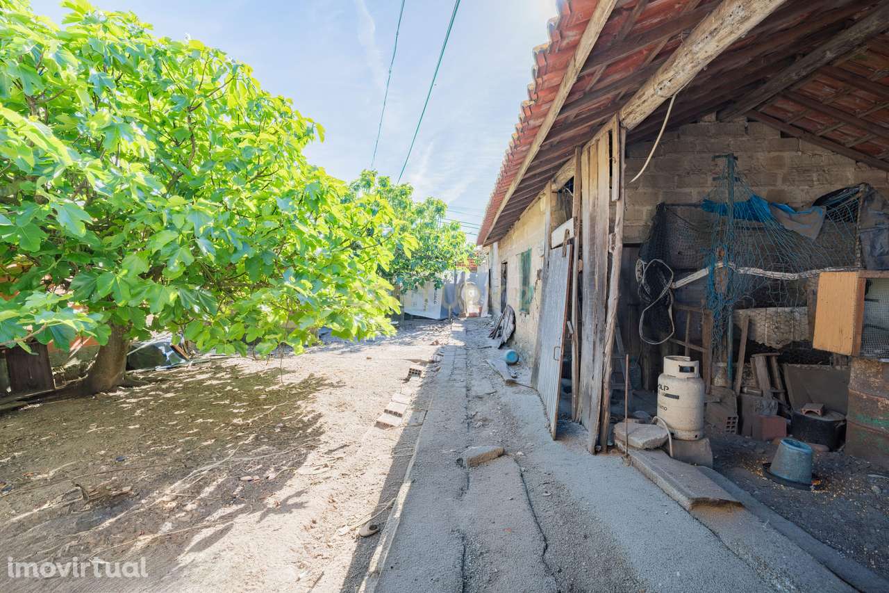 Oportunidade de Reabilitação em Amor – 870 m² - Grande imagem: 4/20