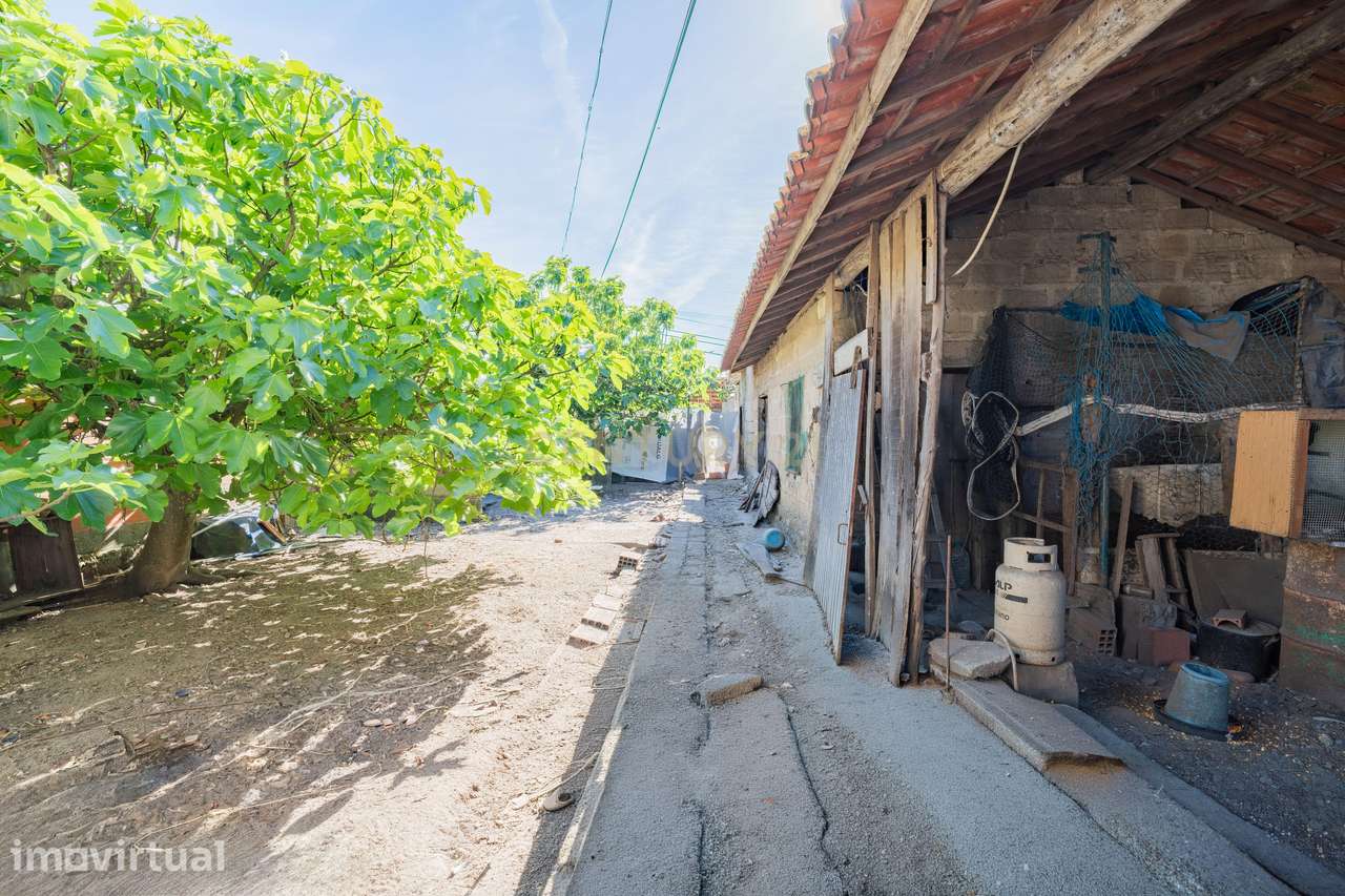 Oportunidade de Reabilitação em Amor – 870 m² - Grande imagem: 5/20