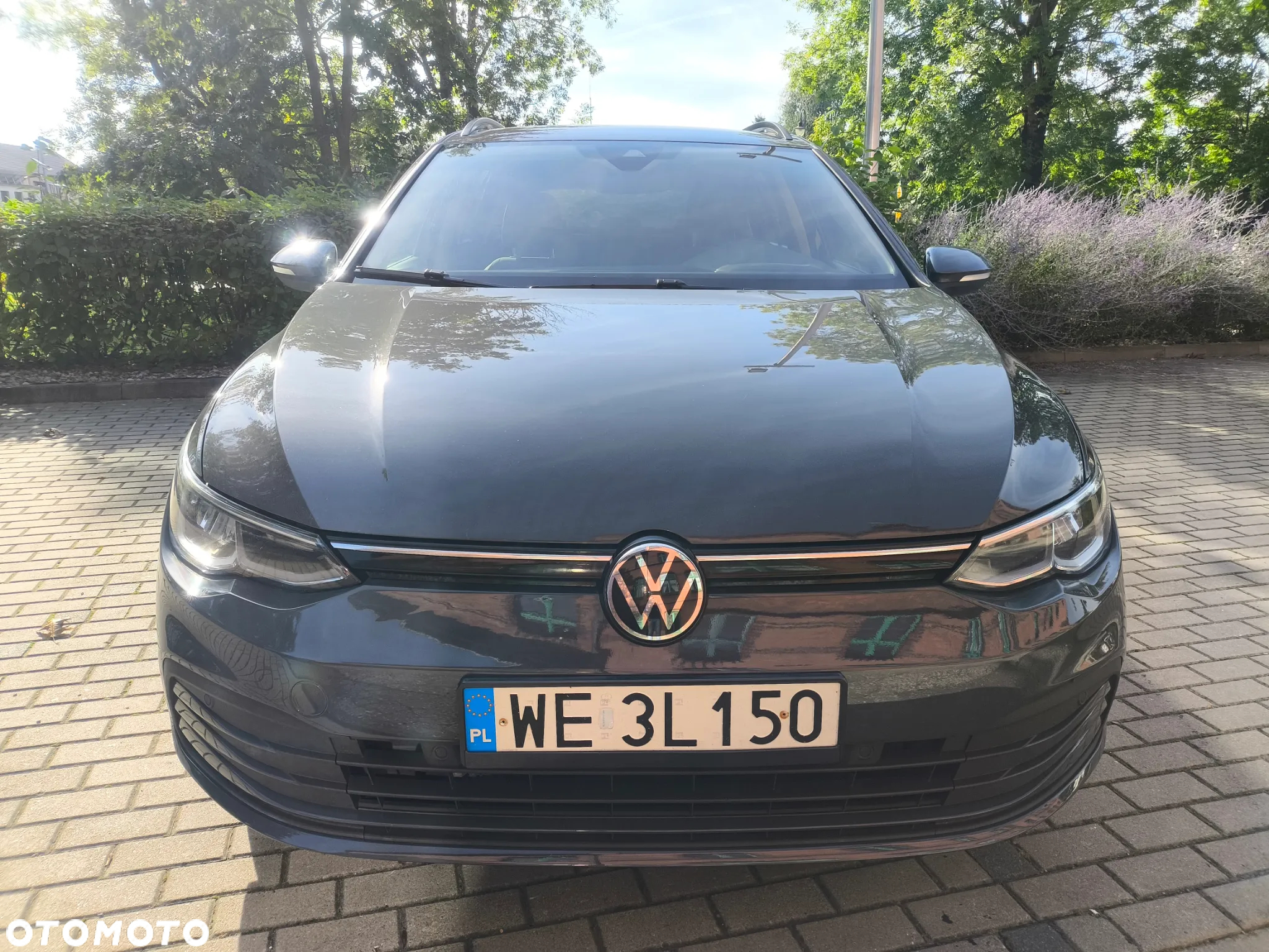 Volkswagen Golf - 13