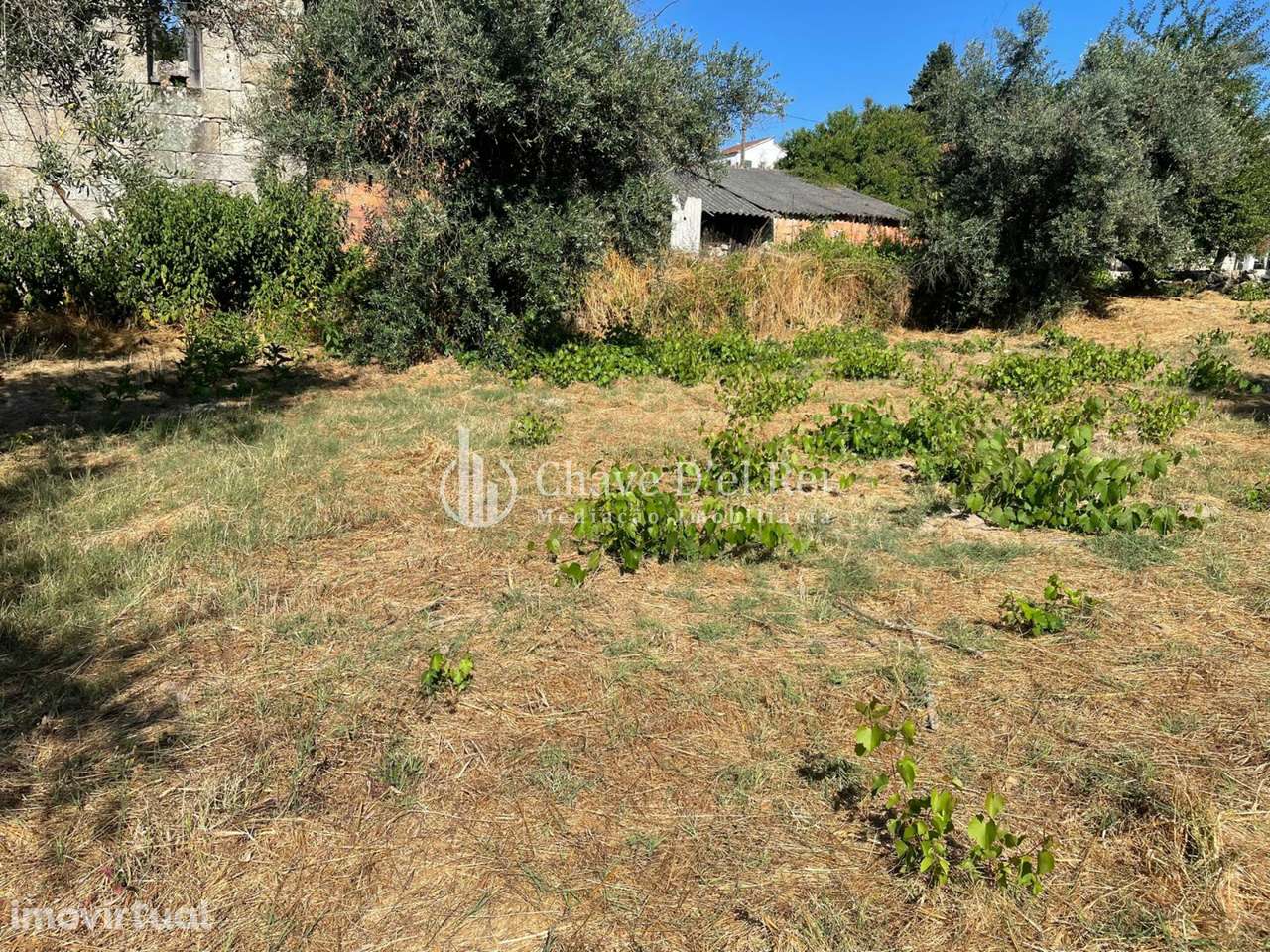 Terreno Rústico  Venda em Santar e Moreira,Nelas - Grande imagem: 4/14