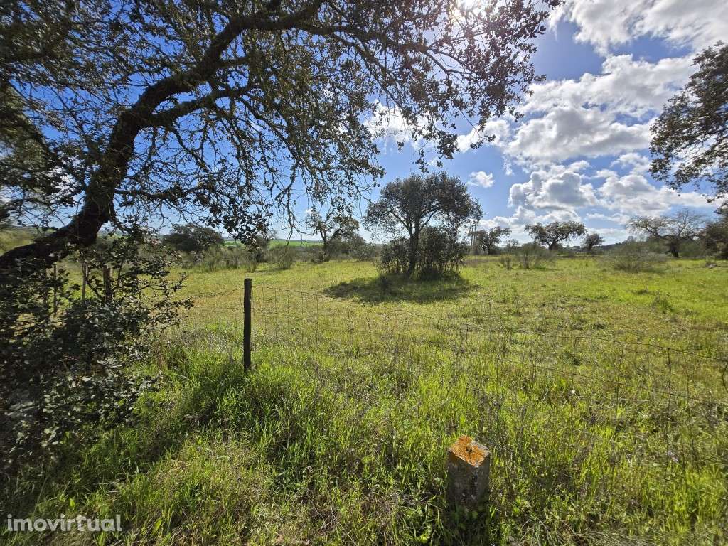 Terreno Rústico Junto à Barragem de Lucefecit, em Terena - Grande imagem: 2/15