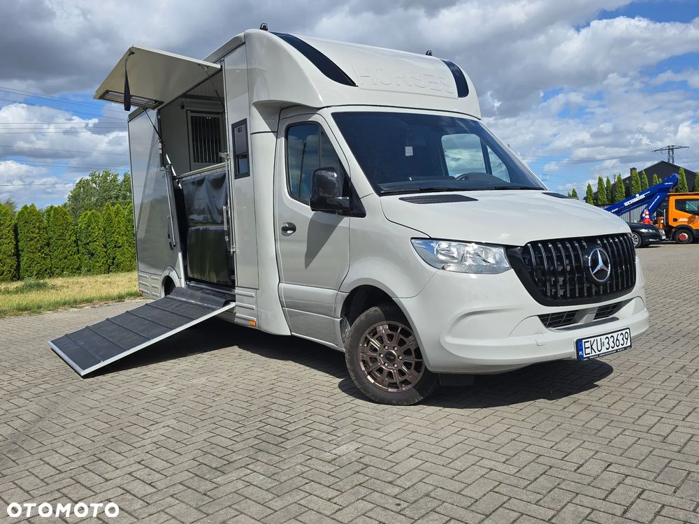 Mercedes-Benz Koniowóz-Sprinter - 2