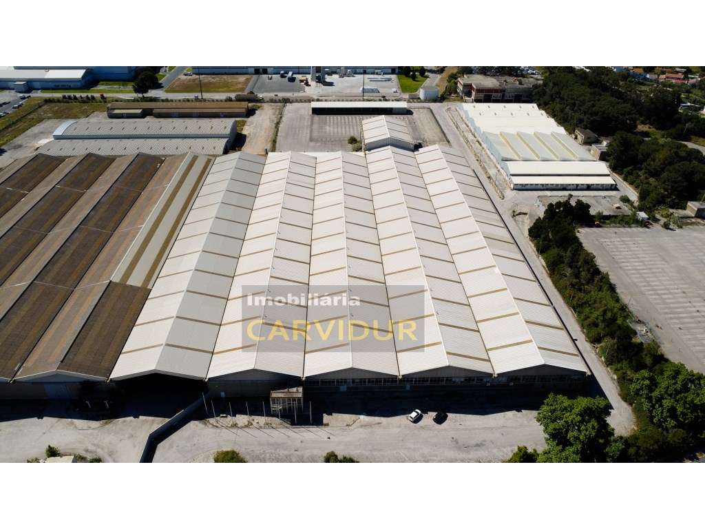 Armazém Industrial 2500m2 nave única, pé direito 8m. - Grande imagem: 3/41