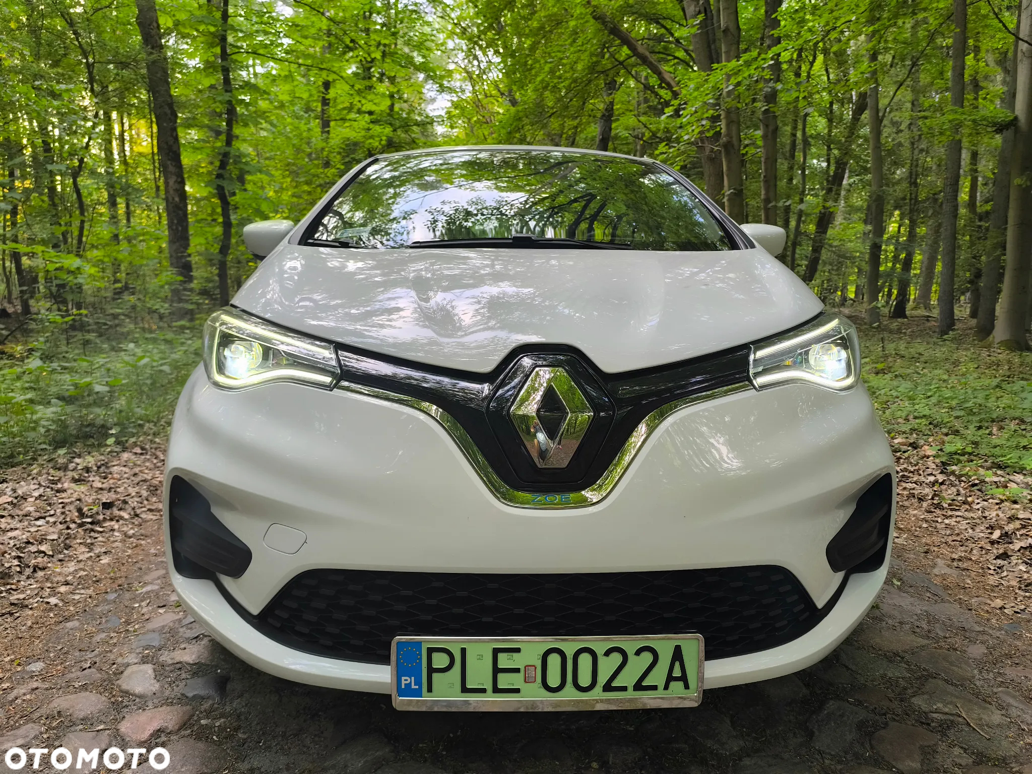 Renault Zoe R110 Z.E 50 Zen - 9