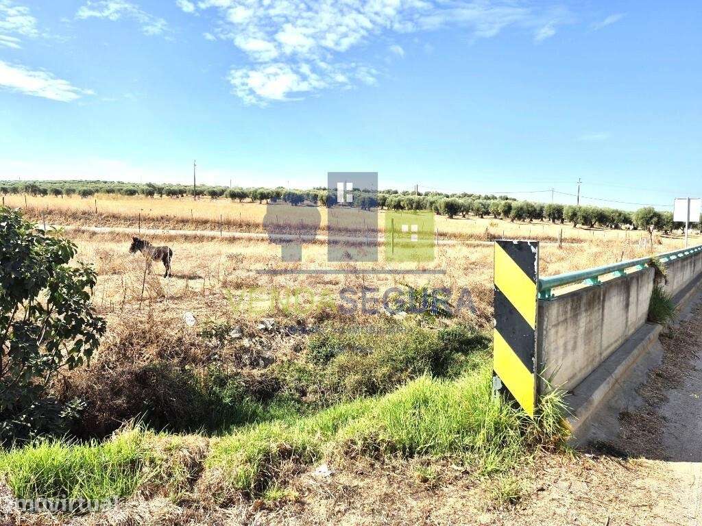 Terreno em Pias | Serpa - Grande imagem: 3/6