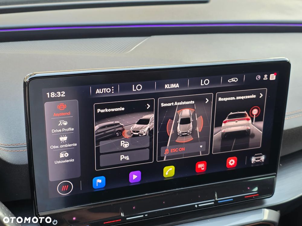 Cupra Formentor 2.0 TDI 4Drive DSG - 30