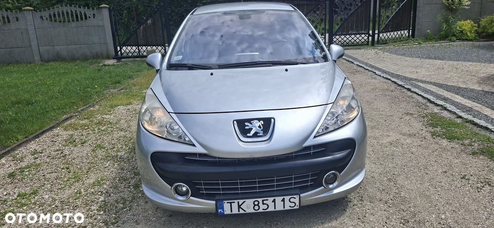 Peugeot 207 1.4 - 13
