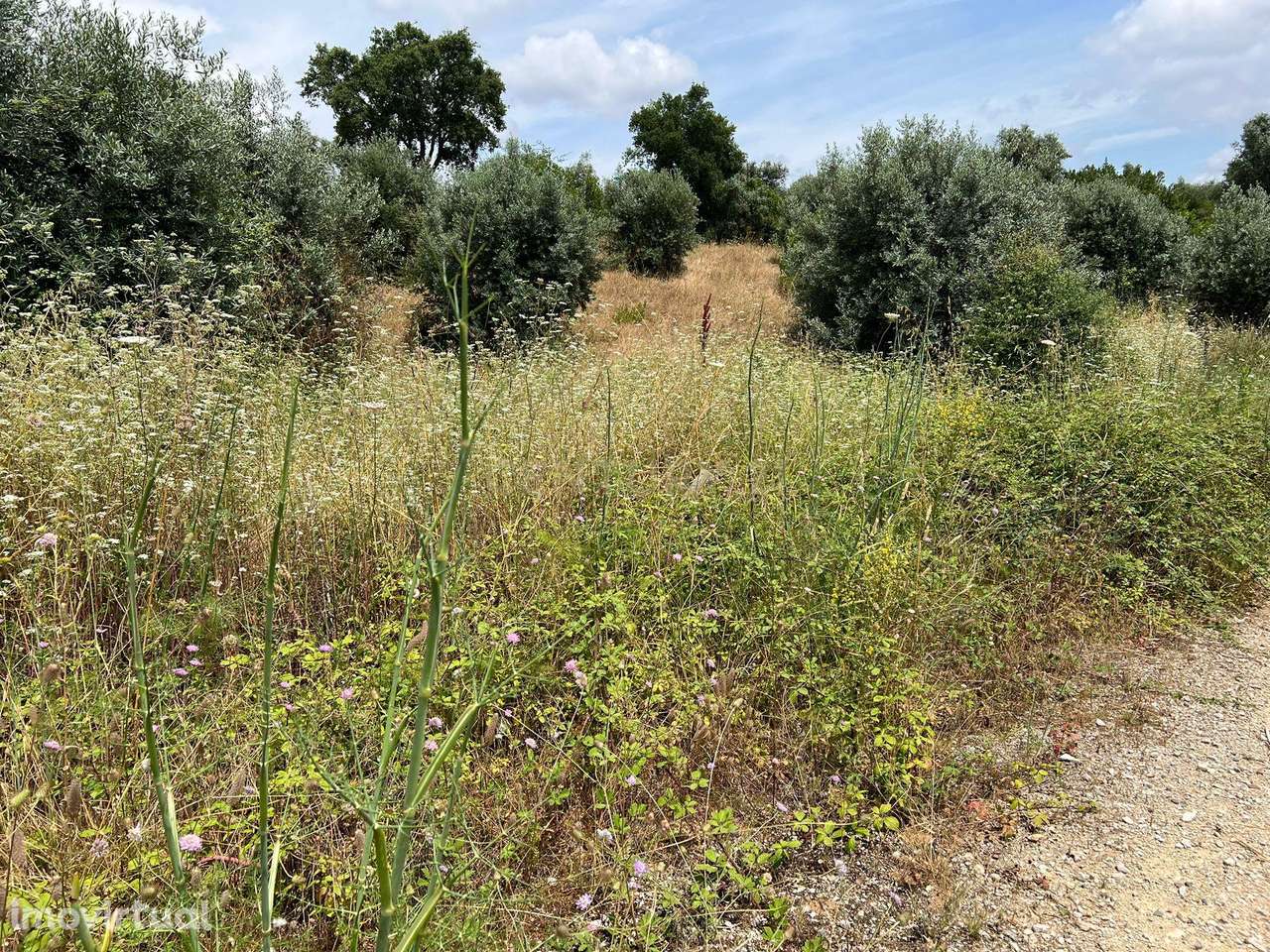 Terreno Urbano com 1710m2, Mouriscas, Abrantes - Grande imagem: 3/14