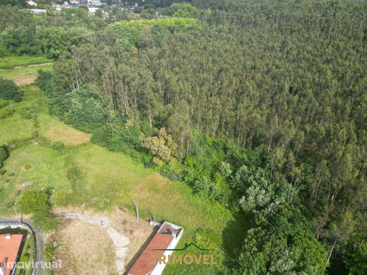 Terreno Rústico  Venda em Pinheiro da Bemposta, Travanca e Palmaz,Oliv - Grande imagem: 2/8