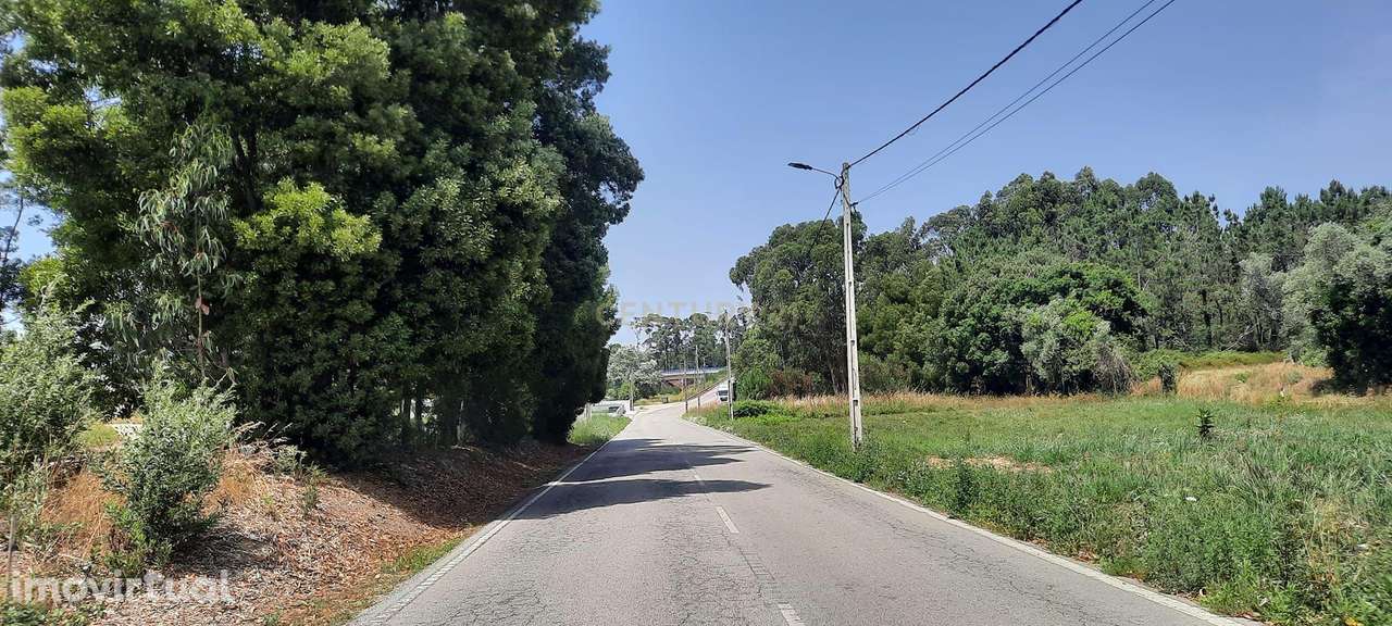 Terreno à venda em Ouca, Vagos - 44.500€ - Grande imagem: 2/9