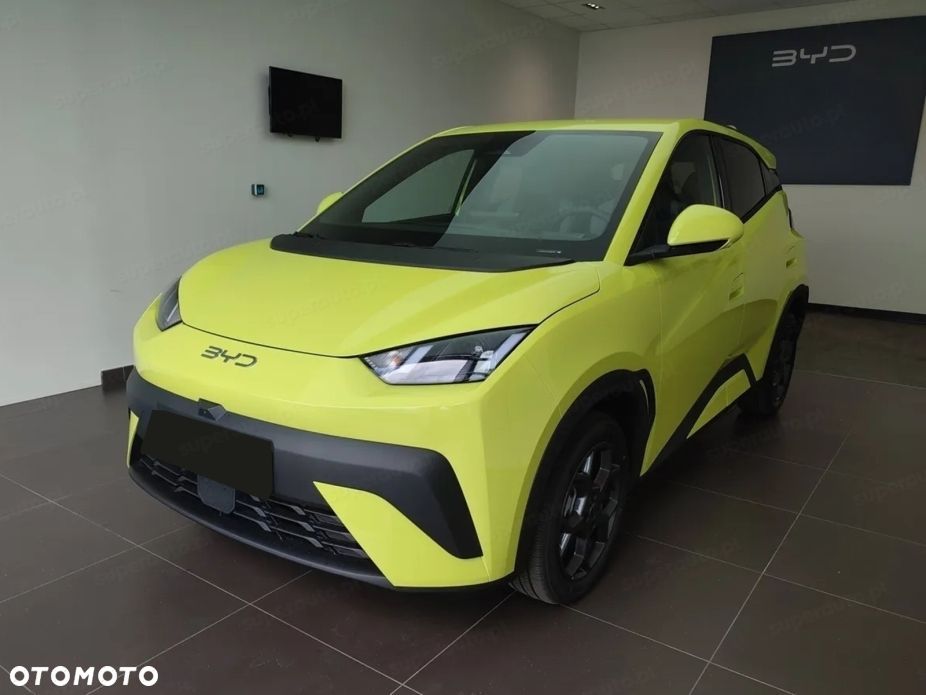 BYD Dolphin Surf - 3