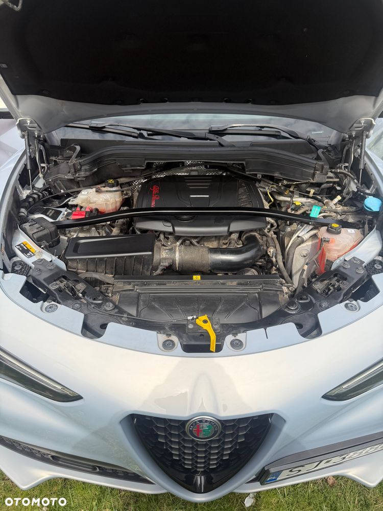Alfa Romeo Stelvio 2.0 Turbo Veloce Q4 - 30