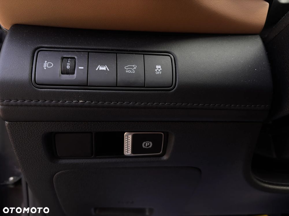 Hyundai Santa Fe - 19