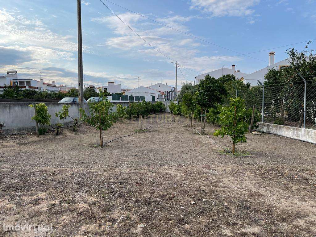 Excelente Terreno em Santa Eulalia/Elvas - Grande imagem: 2/11