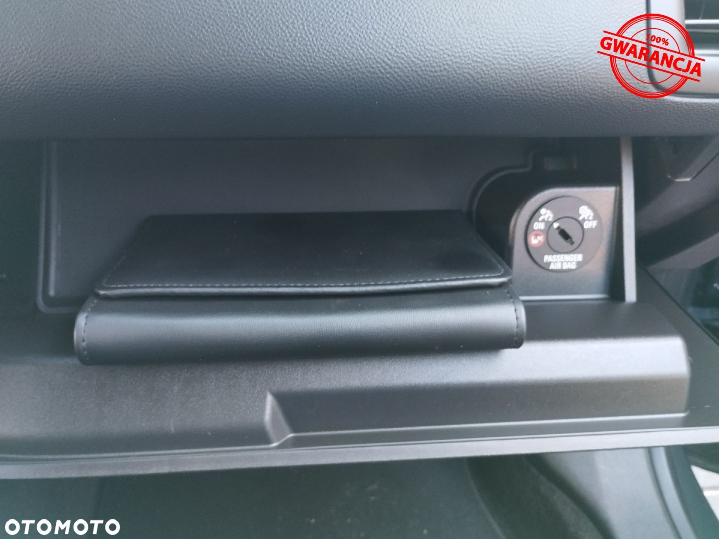 Opel Ampera - 30