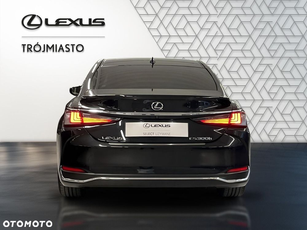 Lexus ES 300h Omotenashi - 6
