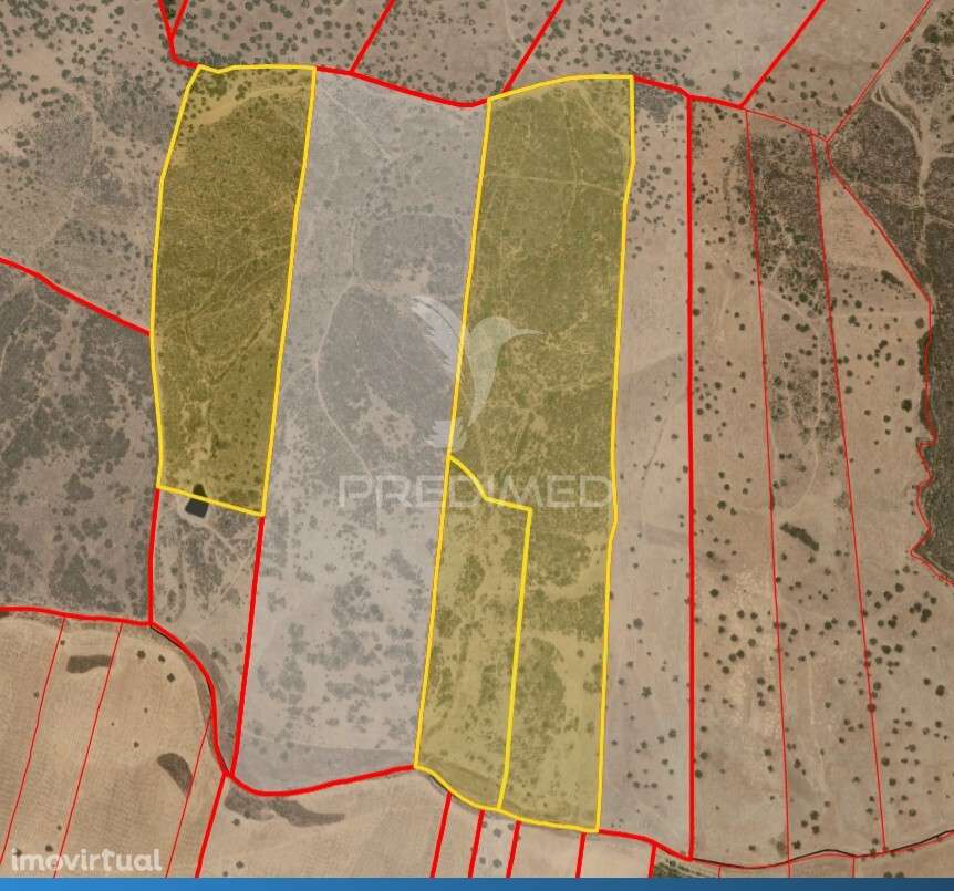 Vende-se Herdade – 34 Hectares - Grande imagem: 5/5