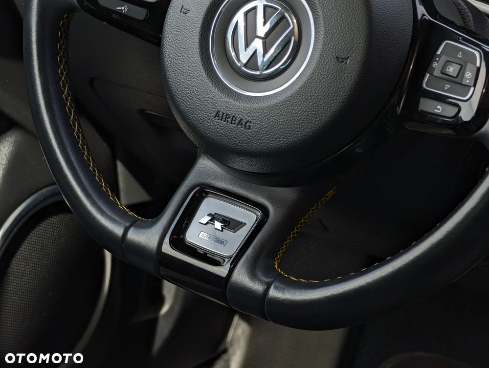 Volkswagen Beetle - 29