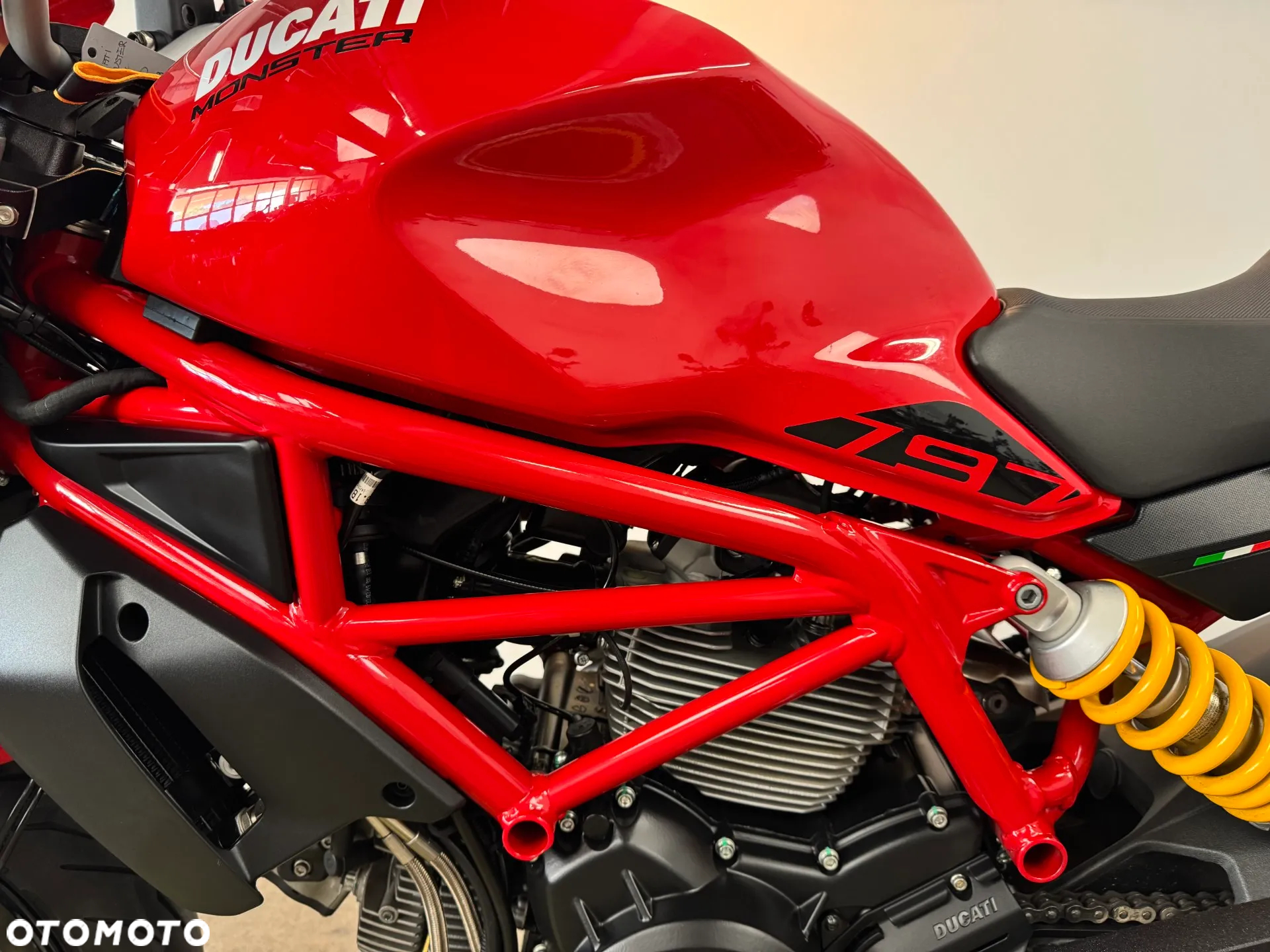 Ducati Monster - 22