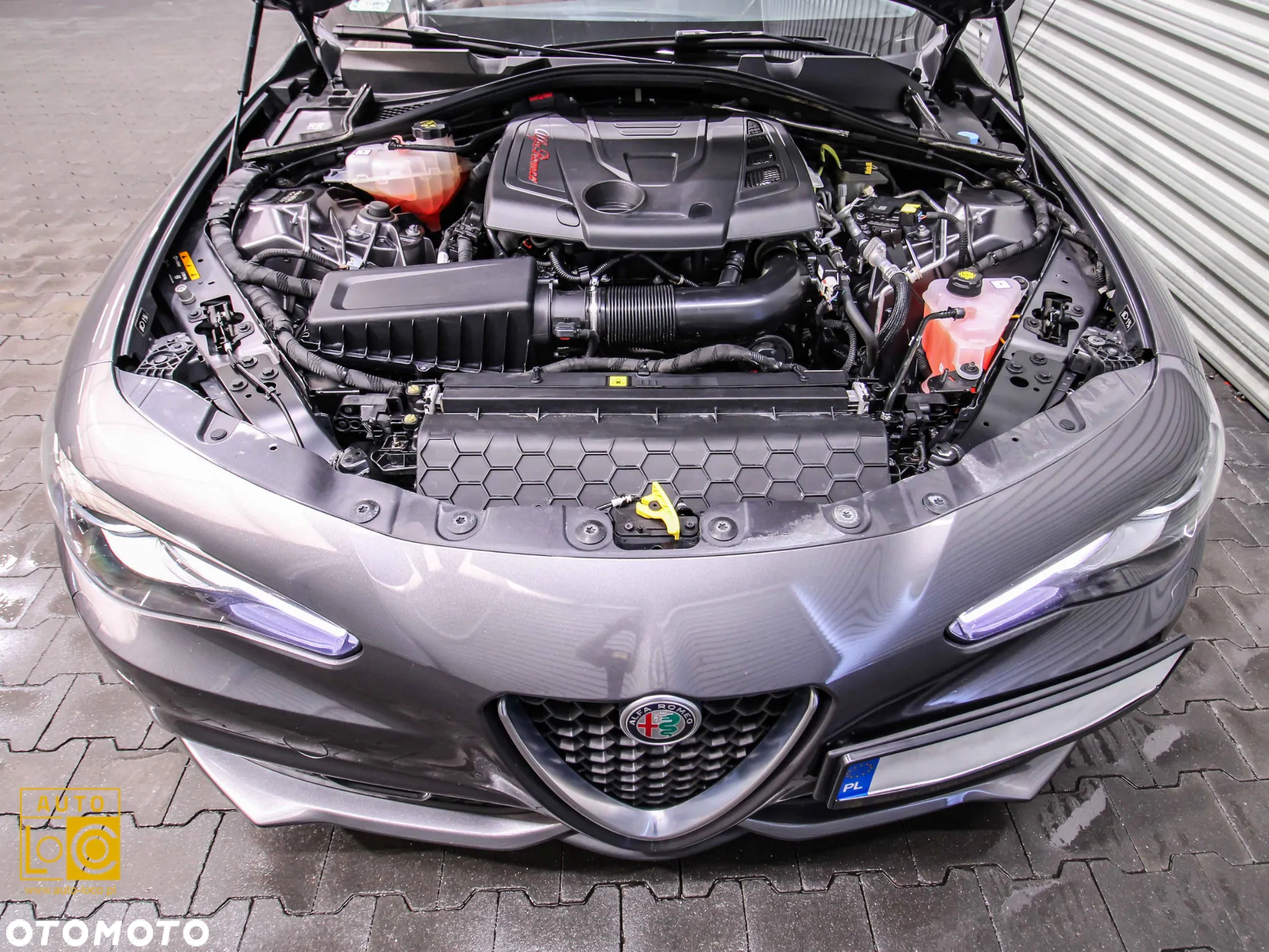 Alfa Romeo Giulia 2.0 Turbo Veloce Q4 - 14