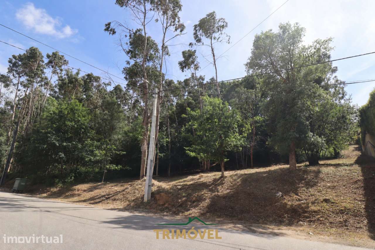 Terreno Rústico  Venda em São Roque,Oliveira de Azeméis - Grande imagem: 3/4